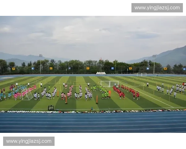 以校队建设为核心推动体教融合与校园竞技文化高质量发展新路径探索 以校队建设为核心推动体教融合与校园竞技文化高质量发展新路径探索