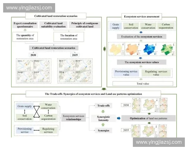 恢复区间优化策略与身体功能提升的科学方法探索