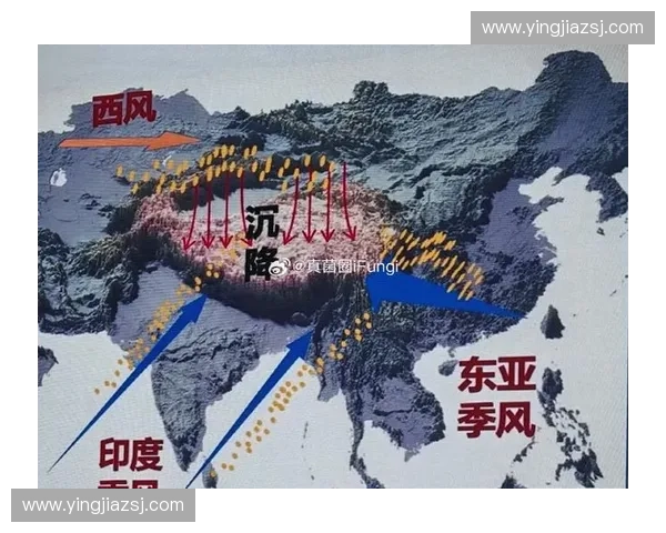 海拔高度对气候变化、生物分布和人类活动的多重影响分析