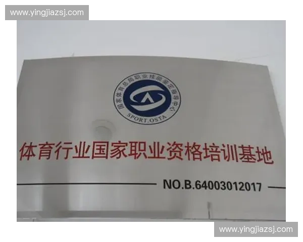新时代体育裁判员职业素养提升与赛场公正执裁能力建设路径研究